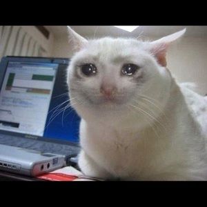 Meet your Posher, Gabriella